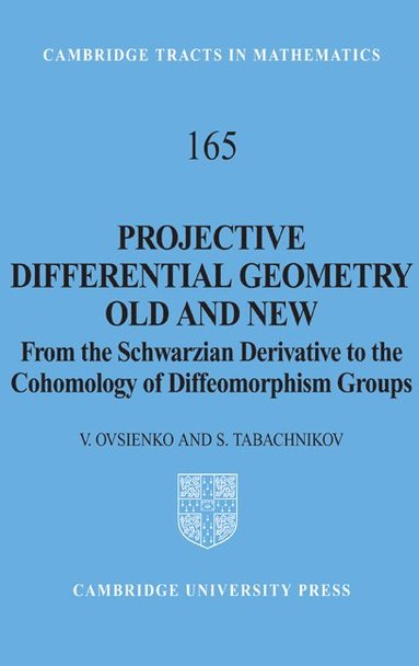 bokomslag Projective Differential Geometry Old and New