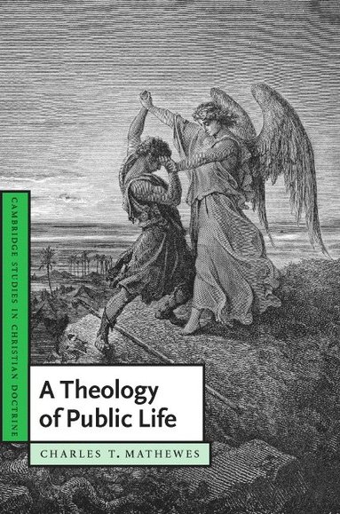 bokomslag A Theology of Public Life