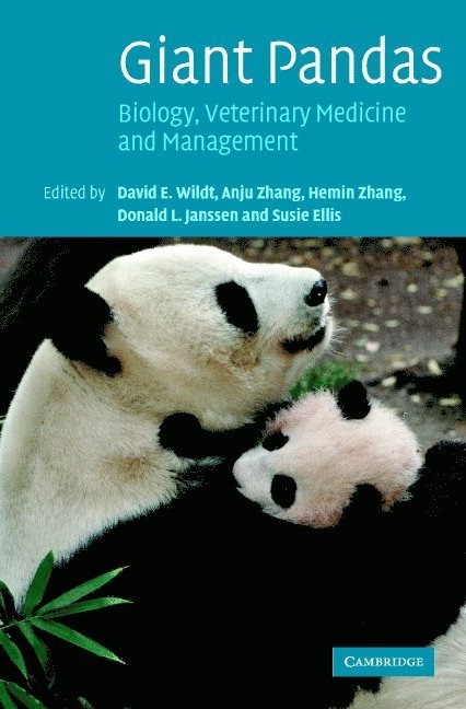 Giant Pandas 1