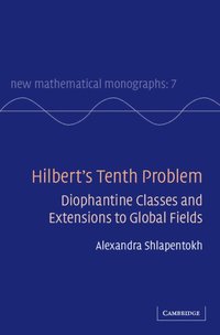 bokomslag Hilbert's Tenth Problem