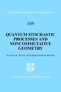 bokomslag Quantum Stochastic Processes and Noncommutative Geometry