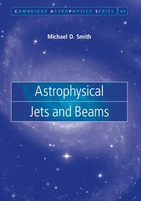bokomslag Astrophysical Jets and Beams