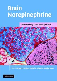 bokomslag Brain Norepinephrine