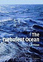 The Turbulent Ocean 1