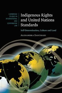 bokomslag Indigenous Rights and United Nations Standards
