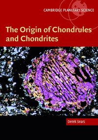 bokomslag The Origin of Chondrules and Chondrites