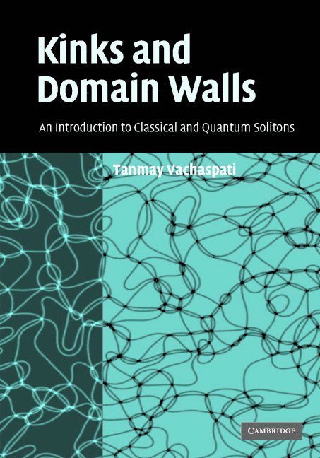 Kinks and Domain Walls 1