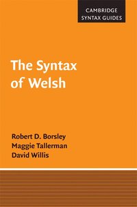 bokomslag The Syntax of Welsh