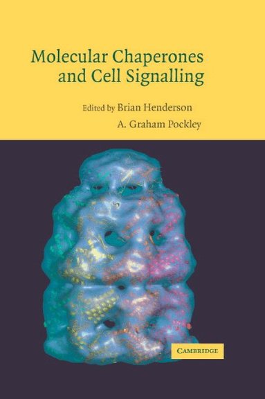 Brian Henderson, A. Graham Pockley - Molecular Chaperones and Cell Signalling, Inbunden