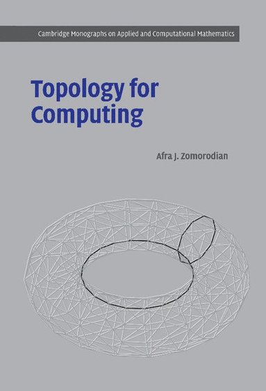 bokomslag Topology for Computing