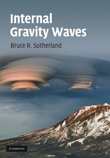 bokomslag Internal Gravity Waves