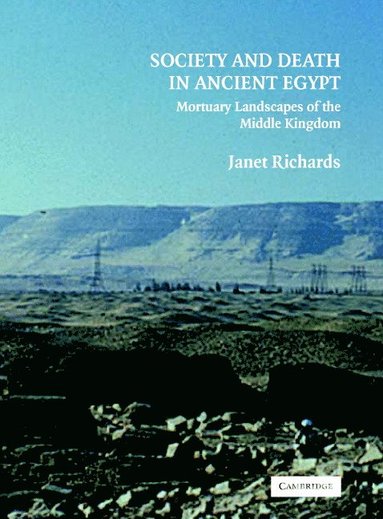 bokomslag Society and Death in Ancient Egypt