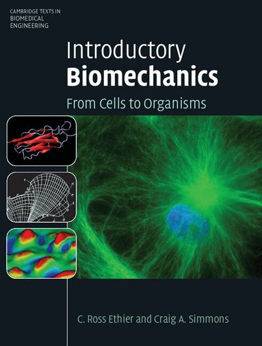 C. Ross Ethier, Craig A. Simmons - Introductory Biomechanics, Inbunden