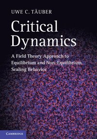 bokomslag Critical Dynamics