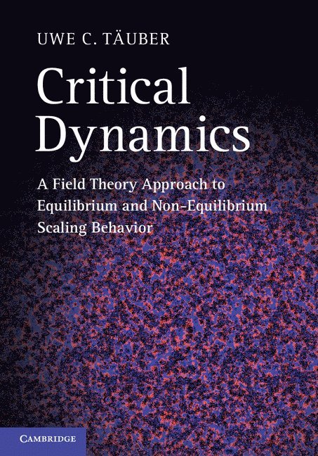 Critical Dynamics 1