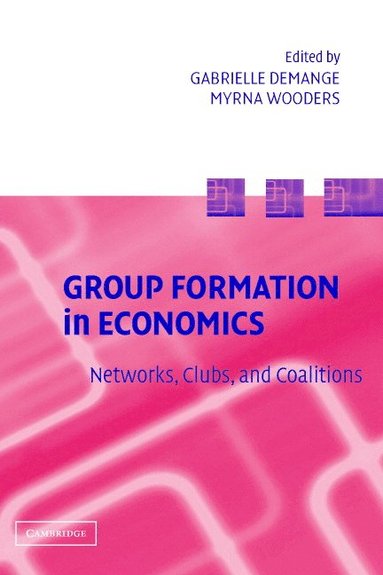 bokomslag Group Formation in Economics
