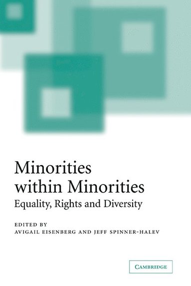 bokomslag Minorities within Minorities