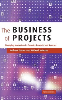 bokomslag The Business of Projects