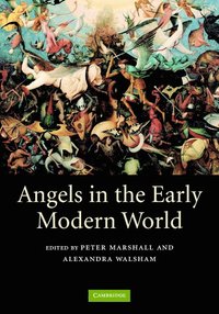 bokomslag Angels in the Early Modern World