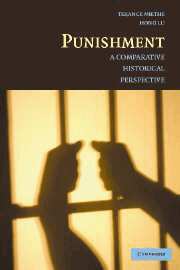 Terance D. Miethe, Hong Lu - Punishment, Inbunden