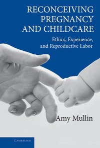 bokomslag Reconceiving Pregnancy and Childcare