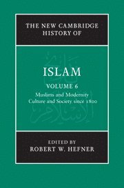 New Cambridge History of Islam