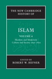 The New Cambridge History of Islam 1