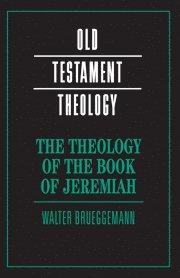 bokomslag The Theology of the Book of Jeremiah