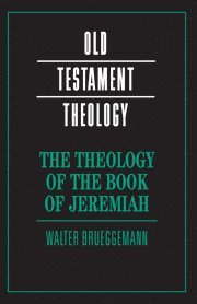 bokomslag The Theology of the Book of Jeremiah
