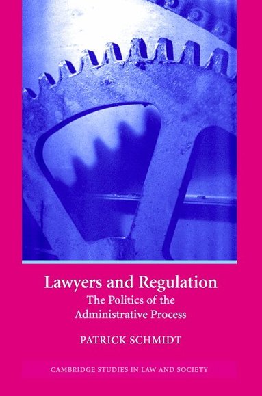 Patrick Schmidt - Lawyers and Regulation, Inbunden