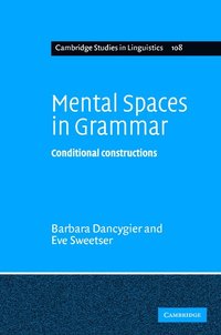 bokomslag Mental Spaces in Grammar