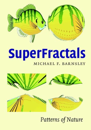 bokomslag Superfractals
