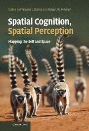 bokomslag Spatial Cognition, Spatial Perception