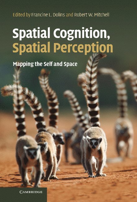 Spatial Cognition, Spatial Perception