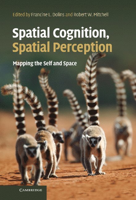 Spatial Cognition, Spatial Perception 1