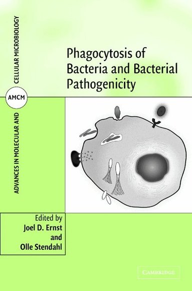 Joel D. Ernst, Olle Stendahl - Phagocytosis of Bacteria and Bacterial Pathogenicity, Inbunden