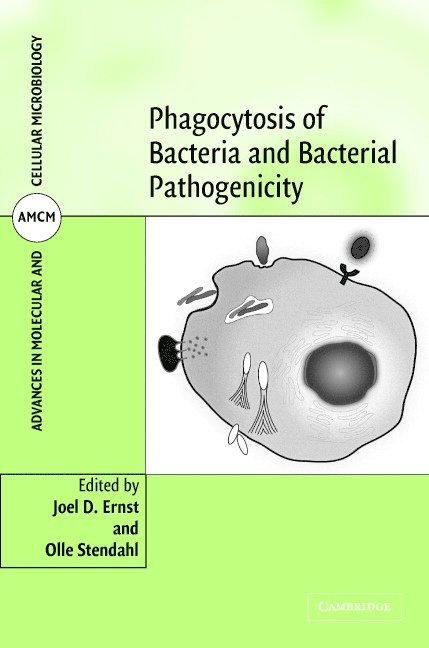 Joel D. Ernst, Olle Stendahl, Joel D. (New York University) Ernst, Sweden) Stendahl, Olle (Linkopings Universitet - Phagocytosis of Bacteria and Bacterial Pathogenicity, Inbunden
