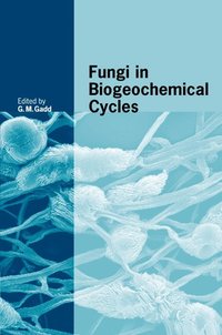 bokomslag Fungi in Biogeochemical Cycles