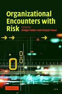 bokomslag Organizational Encounters with Risk