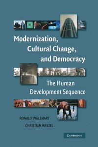 bokomslag Modernization, Cultural Change, and Democracy