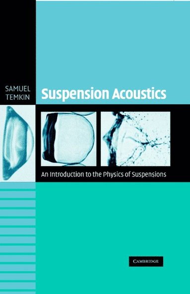 bokomslag Suspension Acoustics