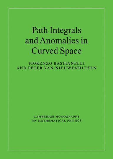 bokomslag Path Integrals and Anomalies in Curved Space