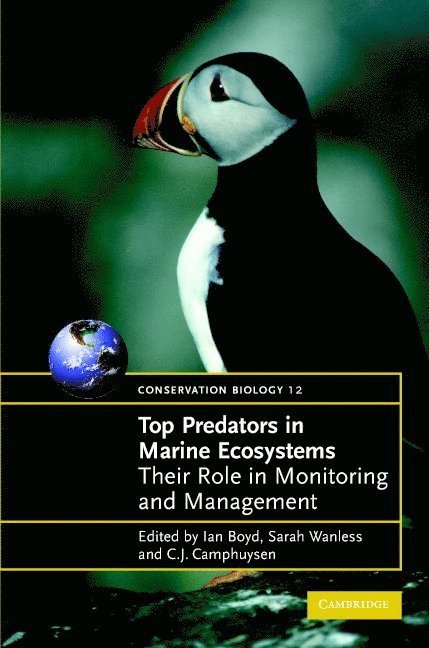 Top Predators in Marine Ecosystems