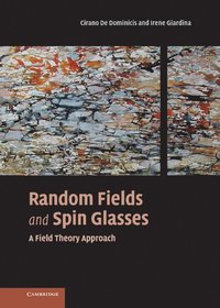 bokomslag Random Fields and Spin Glasses
