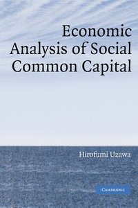 bokomslag Economic Analysis of Social Common Capital