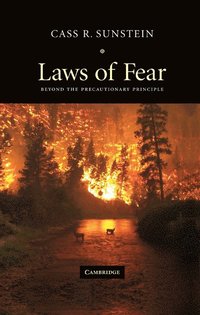 bokomslag Laws of Fear