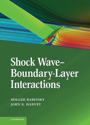 Holger Babinsky, John K. Harvey - Shock Wave-Boundary-Layer Interactions, Inbunden