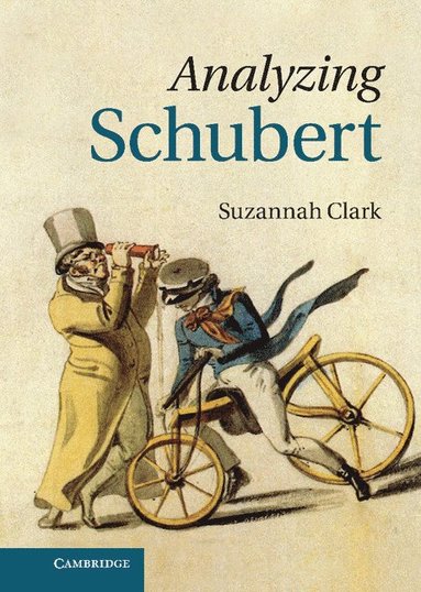 bokomslag Analyzing Schubert