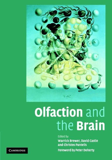 Warrick J. Brewer, David Castle, Christos Pantelis - Olfaction and the Brain, Inbunden