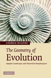 bokomslag The Geometry of Evolution